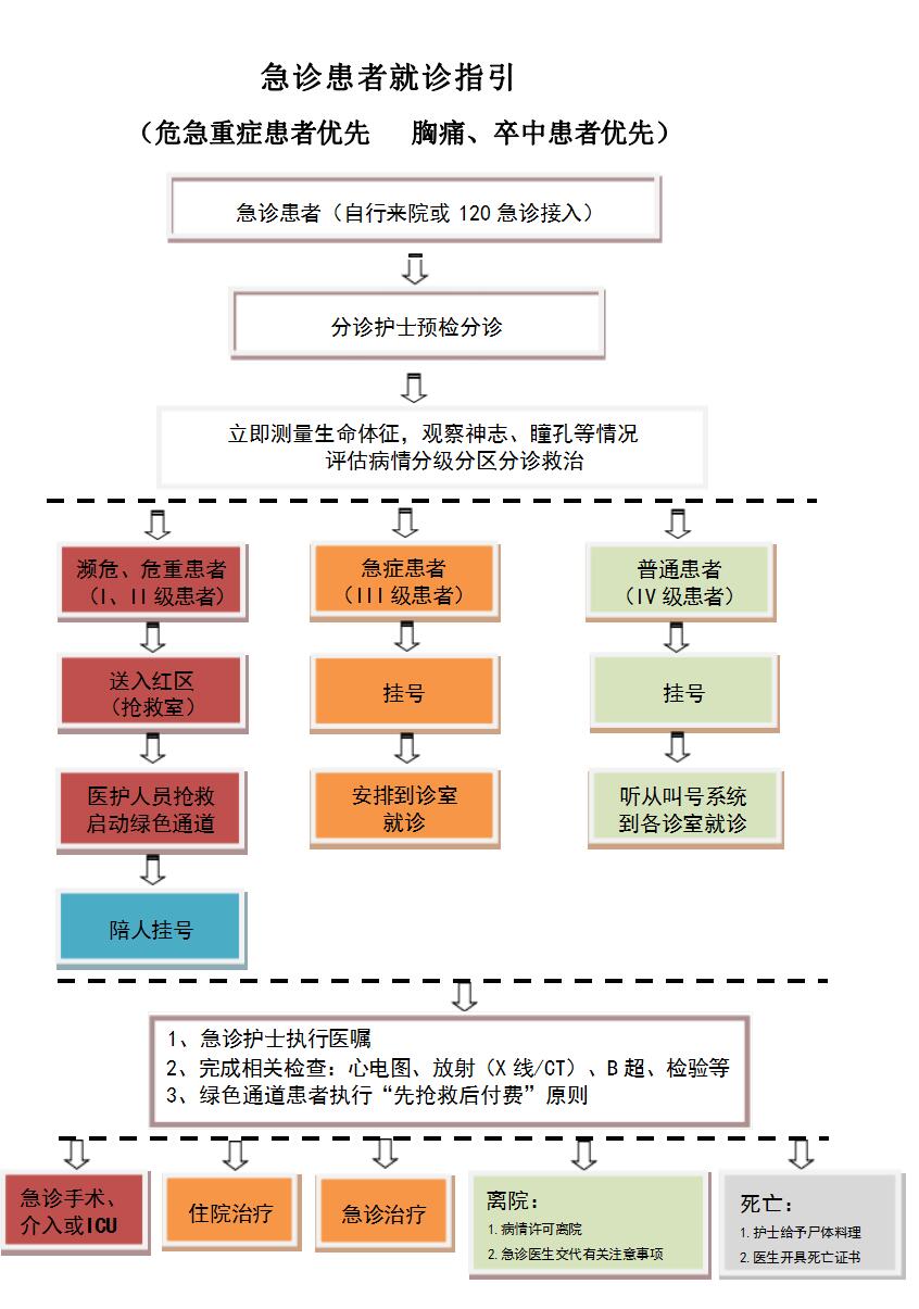 急诊就医流程.jpg