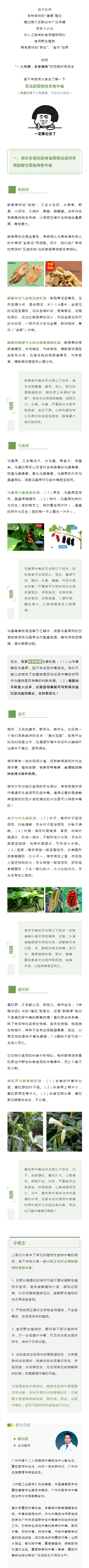 医学科普 要命！这些有毒植物和可食用野生植物别搞混了！.png