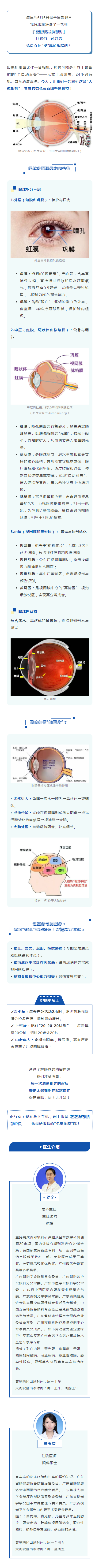 全国爱眼日｜认识你的眼睛——人体最精密的“相机”.png